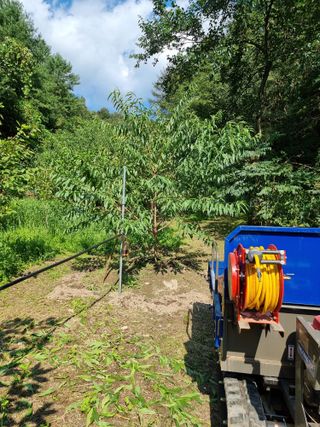 고봉농원 김경수님의 복숭아 · 자유게시판 작성글 사진