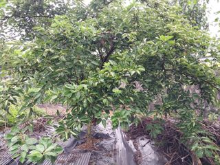 금동이네님의 기타작물 · 자유게시판 작성글 사진