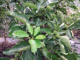 금동이네님의 기타작물 · 자유게시판 작성글 사진