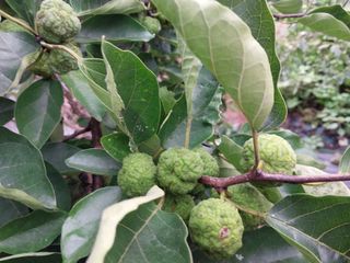 금동이네님의 기타작물 · 자유게시판 작성글 사진