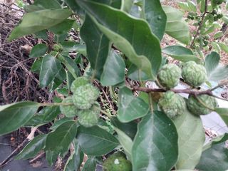 금동이네님의 기타작물 · 자유게시판 작성글 사진