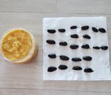 팜모닝 자유주제·자유게시판 게시글 이미지