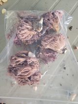 팜모닝 · 게시글 이미지