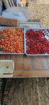 팜모닝 O학년 △반 이세요?·참여글 게시글 이미지