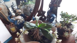 이.일신.꽃분아빠님의 O학년 △반 이세요? · 참여글 작성글 사진