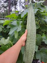 팜모닝 자유주제·자유게시판 게시글 이미지