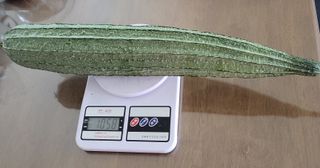 원빈님의 자유주제 · 자유게시판 작성글 사진