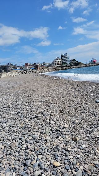 원빈님의 자유주제 · 자유게시판 작성글 사진