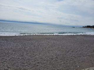 원빈님의 자유주제 · 자유게시판 작성글 사진