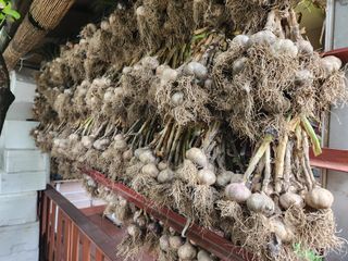 kis님의 O학년 △반 이세요? · 참여글 작성글 사진