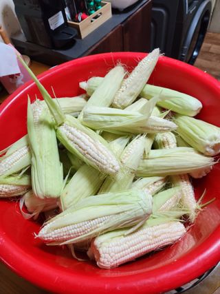 kis님의 O학년 △반 이세요? · 참여글 작성글 사진