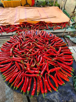 kis님의 O학년 △반 이세요? · 참여글 작성글 사진