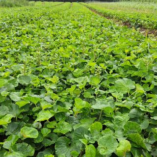 조병대님의 O학년 △반 이세요? · 참여글 작성글 사진