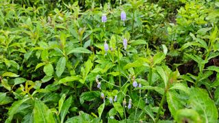 조병대님의 O학년 △반 이세요? · 참여글 작성글 사진