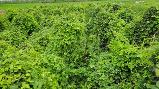 조병대님의 O학년 △반 이세요? · 참여글 작성글 사진