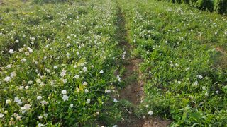 조병대님의 O학년 △반 이세요? · 참여글 작성글 사진