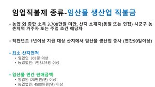 세계평화랑님의 들깨 · 자유게시판 작성글 사진