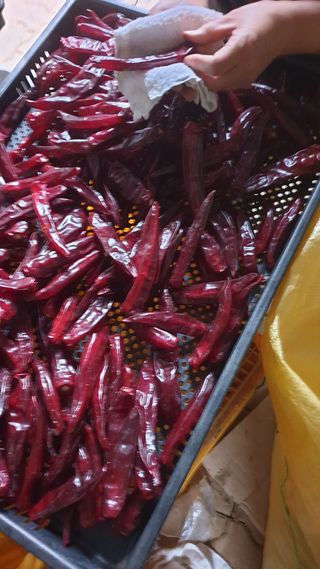 호랑이와인성이님의 작성글 사진