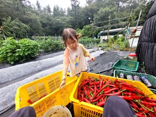 김형길 님의 O학년 △반 이세요? · 참여글 작성글 사진