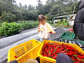 김형길 님의 O학년 △반 이세요? · 참여글 작성글 사진