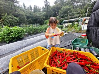 김형길 님의 O학년 △반 이세요? · 참여글 작성글 사진