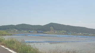 농부아내님의 작성글 사진