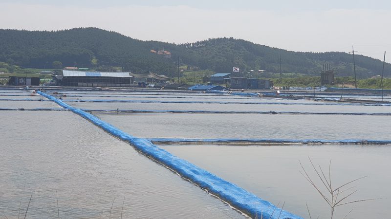 농부아내님의 장터 판매 상품 [간수 50% 빠진 마금리 천일염 20kg] 첨부 사진