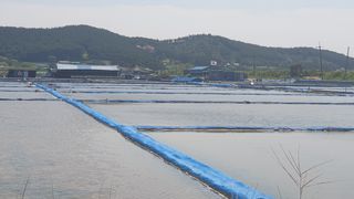 농부아내님의 작성글 사진