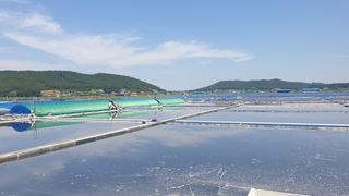 농부아내님의 작성글 사진