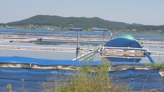 농부아내님의 작성글 사진