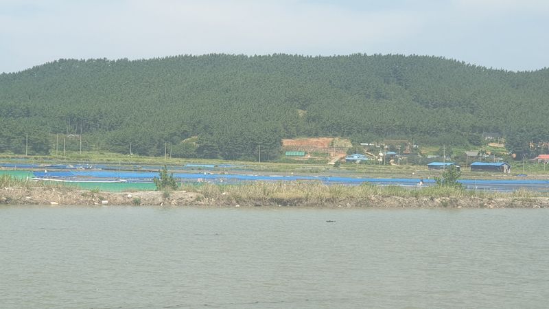 농부아내님의 장터 판매 상품 [간수 50% 빠진 마금리 천일염 20kg] 첨부 사진