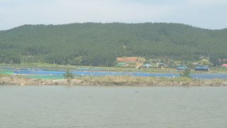 농부아내님의 작성글 사진