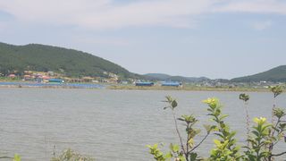 농부아내님의 작성글 사진