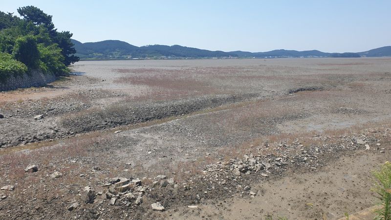 농부아내님의 장터 판매 상품 [간수 50% 빠진 마금리 천일염 20kg] 첨부 사진