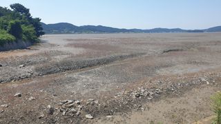 농부아내님의 작성글 사진