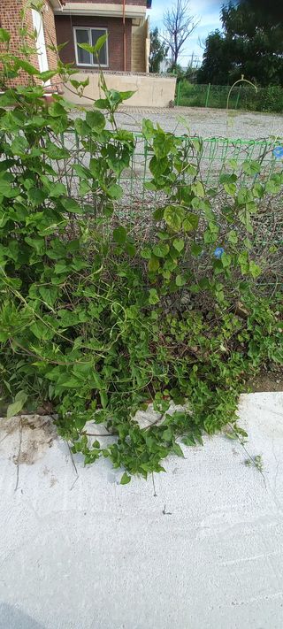 알 수 없음님의 자유주제 · 자유게시판 작성글 사진