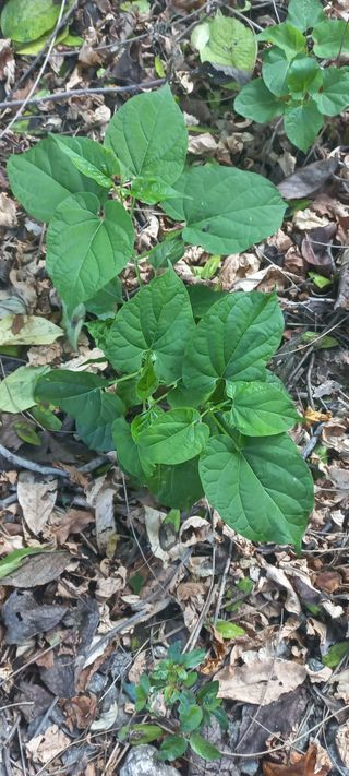 알 수 없음님의 자유주제 · 자유게시판 작성글 사진