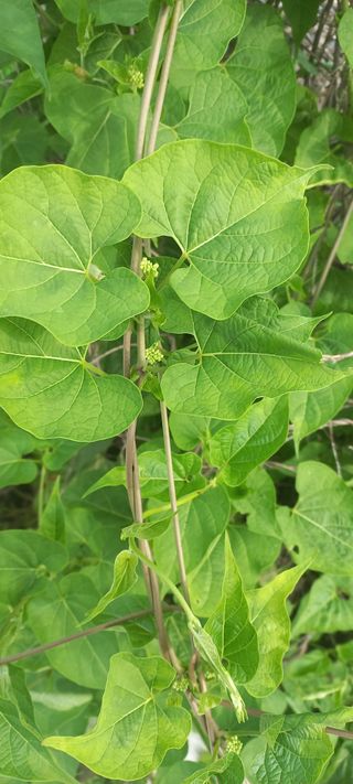 알 수 없음님의 자유주제 · 자유게시판 작성글 사진