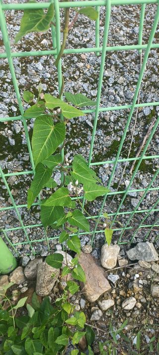 알 수 없음님의 자유주제 · 자유게시판 작성글 사진