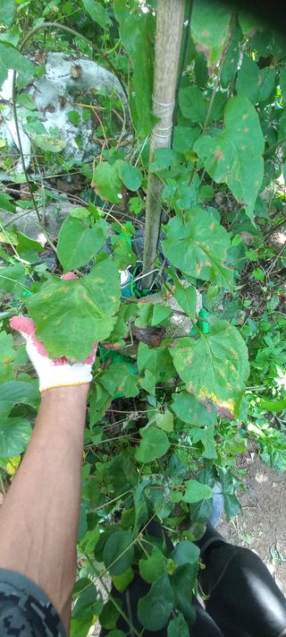 알 수 없음님의 자유주제 · 자유게시판 작성글 사진