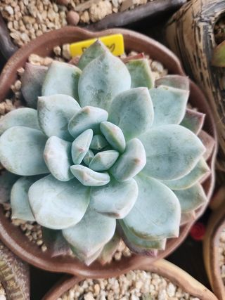 이연옥님의 기타작물 · 자유게시판 작성글 사진