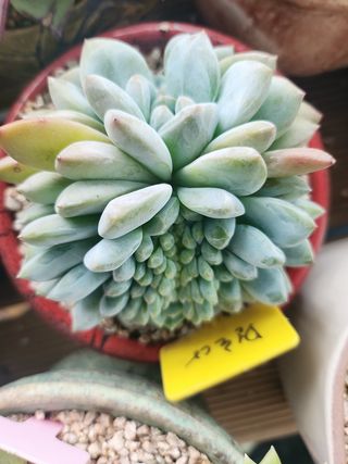 이연옥님의 기타작물 · 자유게시판 작성글 사진