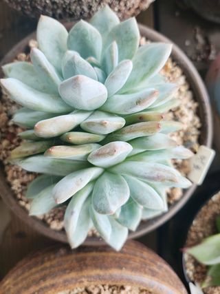 이연옥님의 기타작물 · 자유게시판 작성글 사진