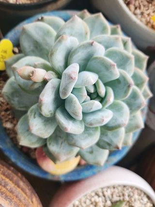 이연옥님의 기타작물 · 자유게시판 작성글 사진