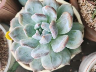 이연옥님의 기타작물 · 자유게시판 작성글 사진