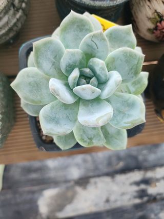 이연옥님의 기타작물 · 자유게시판 작성글 사진