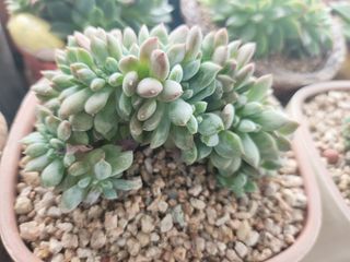 이연옥님의 기타작물 · 자유게시판 작성글 사진