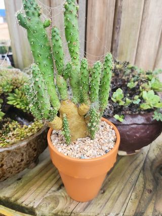 이연옥님의 작성글 사진