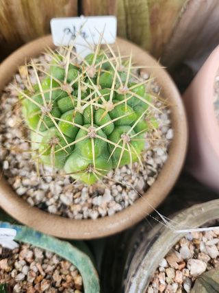 이연옥님의 작성글 사진