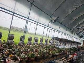 이연옥님의 작성글 사진